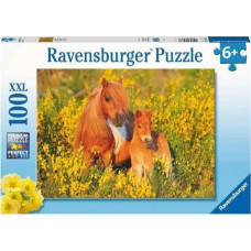 Ravensburger Puzzle XXL 100 Kucyki