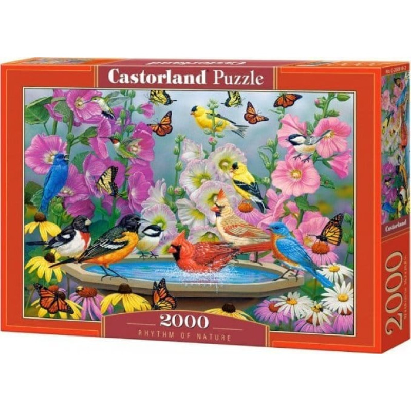 Castorland Puzzle 2000 Rhythm of Nature