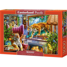 Castorland Puzzle 3000 Tigers Coming to Life CASTOR