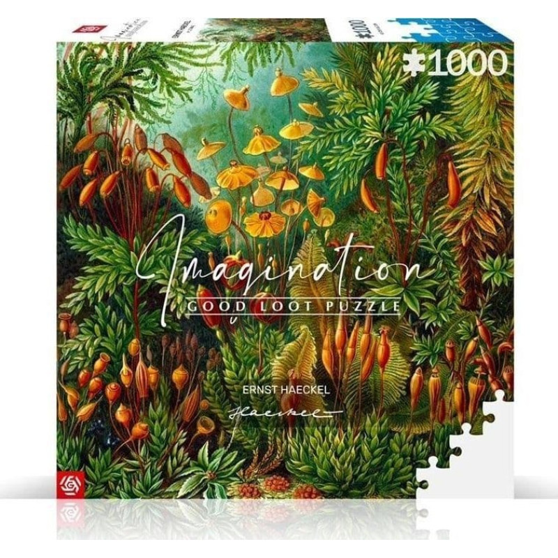 Good Loot Puzzle 1000 Ernst Haeckel Muscinae