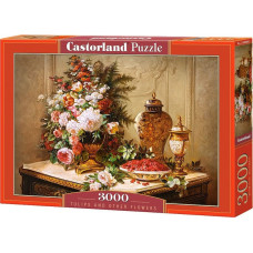 Castorland 3000 Tulipany (C-300488)