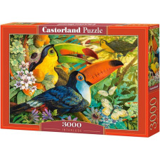 Castorland 3000 Interlude (300433)