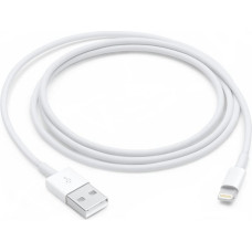 Apple Lightning to USB Cable (1В m)