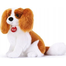 Trudi TRUDI CAVALIER KING (M)