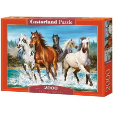 Castorland Puzzle 2000 Call of Nature