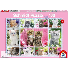 Schmidt Spiele Puzzle Kocięta