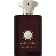 Amouage Amouage, Boundless, Eau De Parfum, For Men, 100 ml For Men