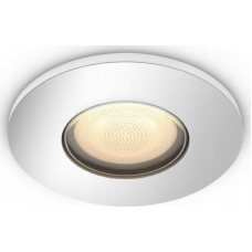 Philips Philips Hue White Amb.Adore Einbausp rund Erw.silber 1x350lm.