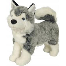 Dubi Husky stojący 32cm