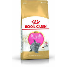 Royal Canin British Shorthair Kitten karma sucha dla kociąt, do 12 miesiąca, rasy brytyjski krótkowłosy 2kg