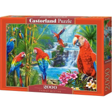 Castorland Puzzle 1500 element?w Statek i pla?a Pierwsza noc Nowa Ziemia