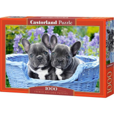 Castorland Puzzle 1000 elementów - Szczeniaczki buldoga francuskiego