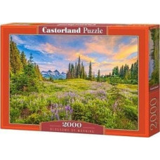 Castorland Puzzle 2000 Blossoms of Morning