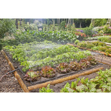 Gardena GARDENA Micro-Drip-System drip irrigation set vegetable/flower bed 60m2, dripper (black/grey, model 2023)