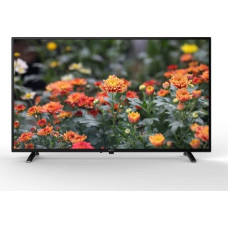 Metz Telewizor Metz 32MTC1000Z LED 32'' HD Ready