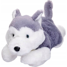 Beppe Maskotka Pies Husky leżący 35 cm