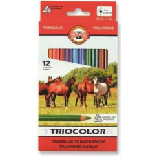 Koh I Noor Kredki Triocolor 12 kolorĂłw