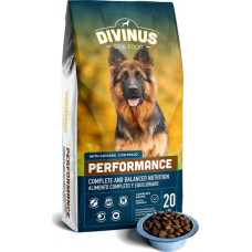 Divinus karma Divinus Performance dla psów aktywnych 42% mięsa 20kg