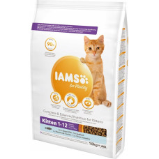 Iams IAMS Kitten Ocean Fish - sucha karma dla kota - 10 kg