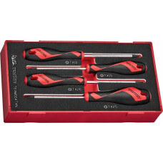 Teng Tools ZESTAW WKRÄTAKÃW TORX TEAMD04TXN, 4SZT.