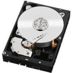 Western Digital HDD, Black 1TB SATA 3, 64 MB 7200 rpm 3,5 (WD1003FZEX) (STO)