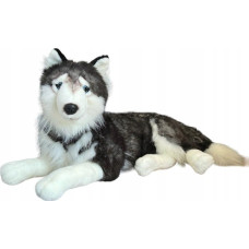 Beppe Husky leż±cy 60cm