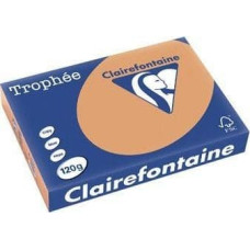 Trophee Papier ksero Trophee pastelowy brąz wielbłądzi A4 80g. 500 arkuszy (xca41879)