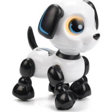 Dumel Robo heads up puppy