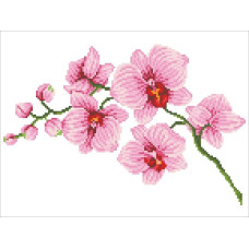 Diamond Dotz Haft diamentowy Diamond Dotz Orchidea 49x39cm DD6034