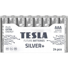 Tesla BATERIA TESLA SILVER+ AAA LR3 /10 old