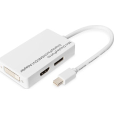 Triton Adapter AV TRITON Digitus Aktywny adapter/konwerter Mini DisplayPort - Mini DP na DisplayPort, HDMI + DVI