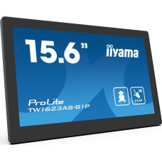 Iiyama Monitor iiyama IIYAMA 39.5cm (15,6