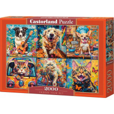 Castor Puzzle 2000 elementów Pieski Kotki Zwierzštka domowe